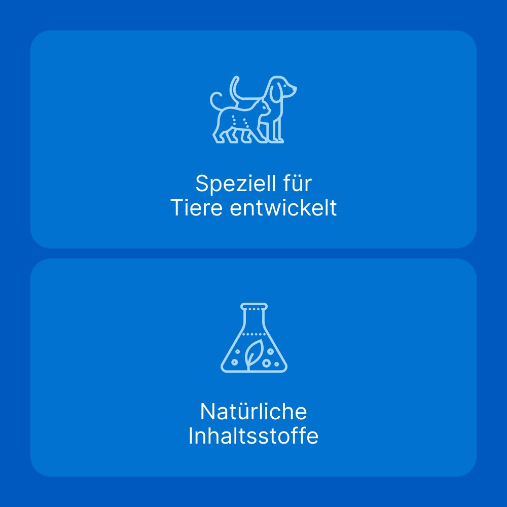 TRAUMEEL LT ad us.vet.Tabletten
