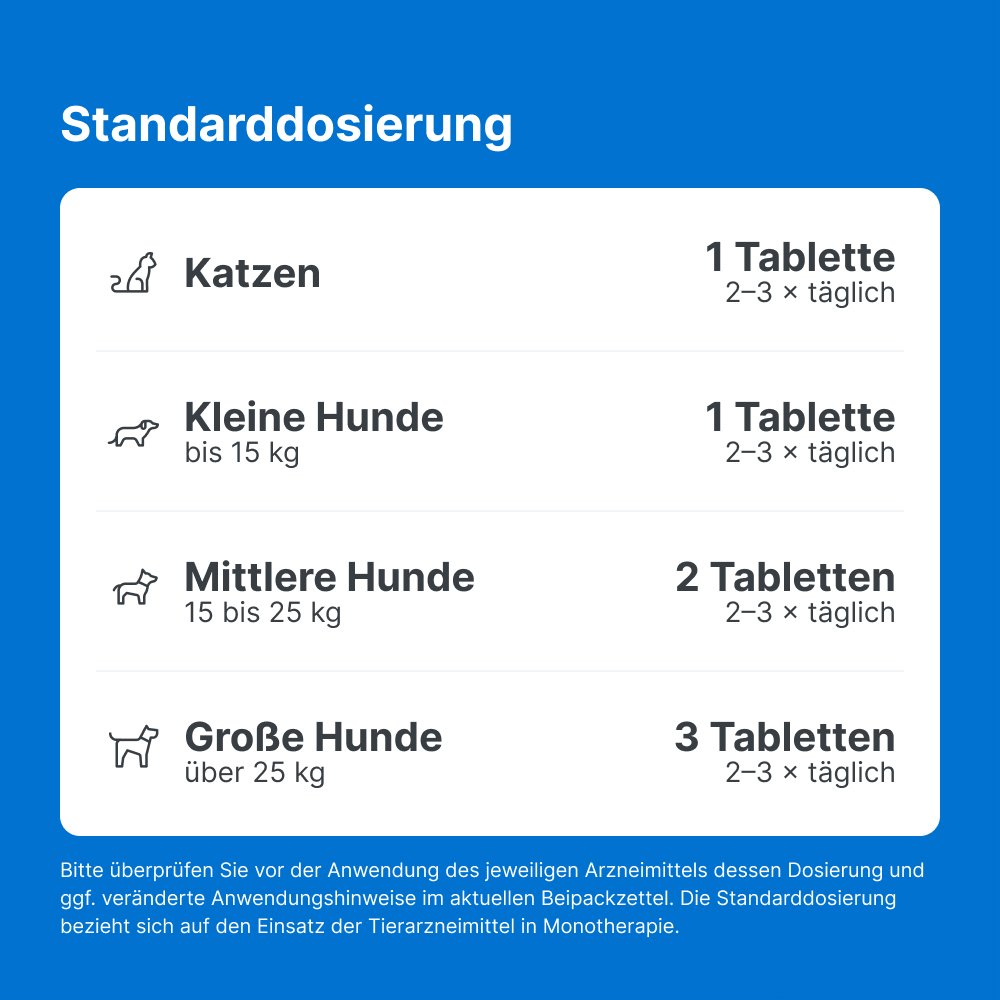 TRAUMEEL LT ad us.vet.Tabletten