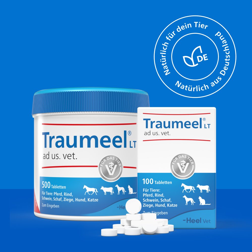 TRAUMEEL LT ad us.vet.Tabletten