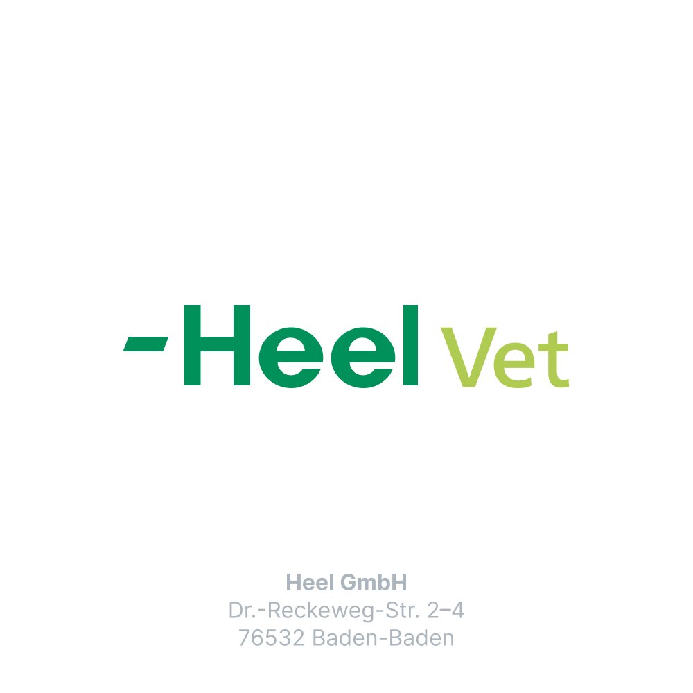 TRAUMEEL LT ad us.vet.Tabletten