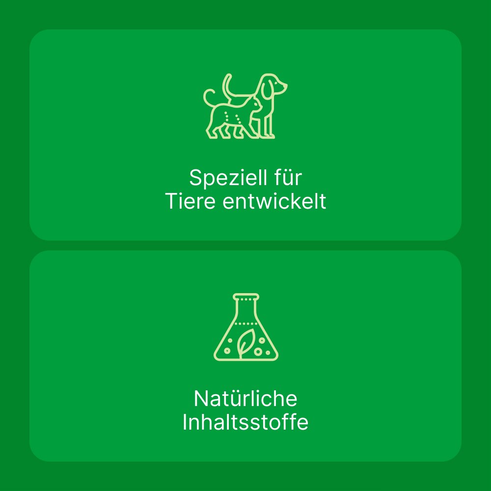 ZEEL LT ad us.vet.Tabletten