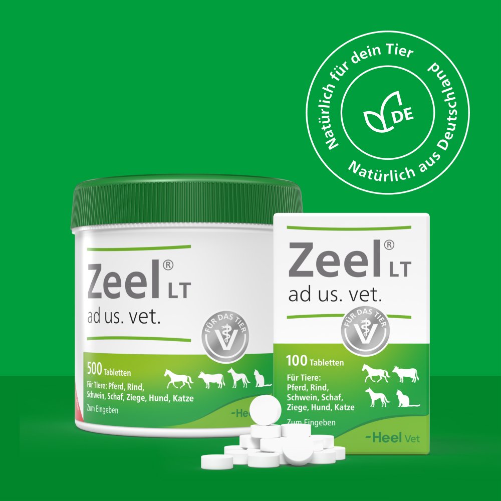 ZEEL LT ad us.vet.Tabletten