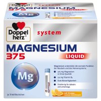 Doppelherz system Magnesium 375 Liquid + B6