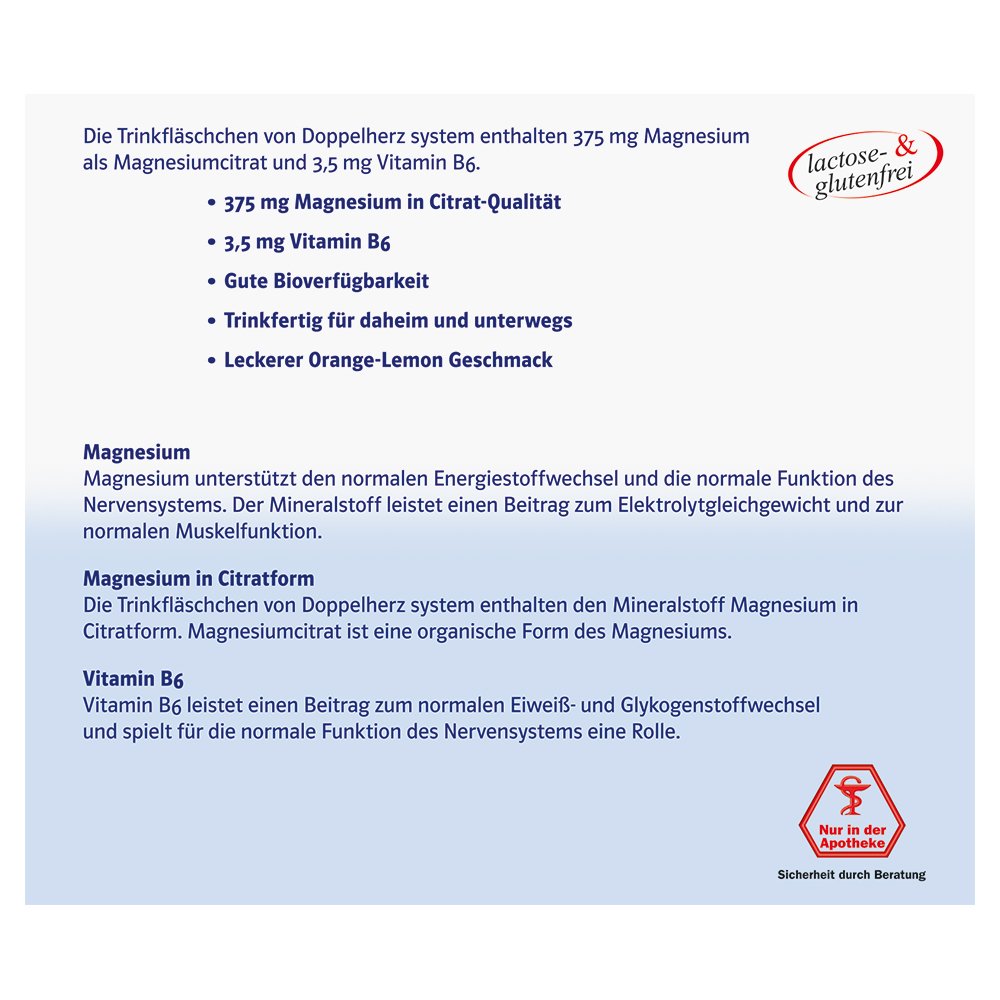 Doppelherz system Magnesium 375 Liquid + B6