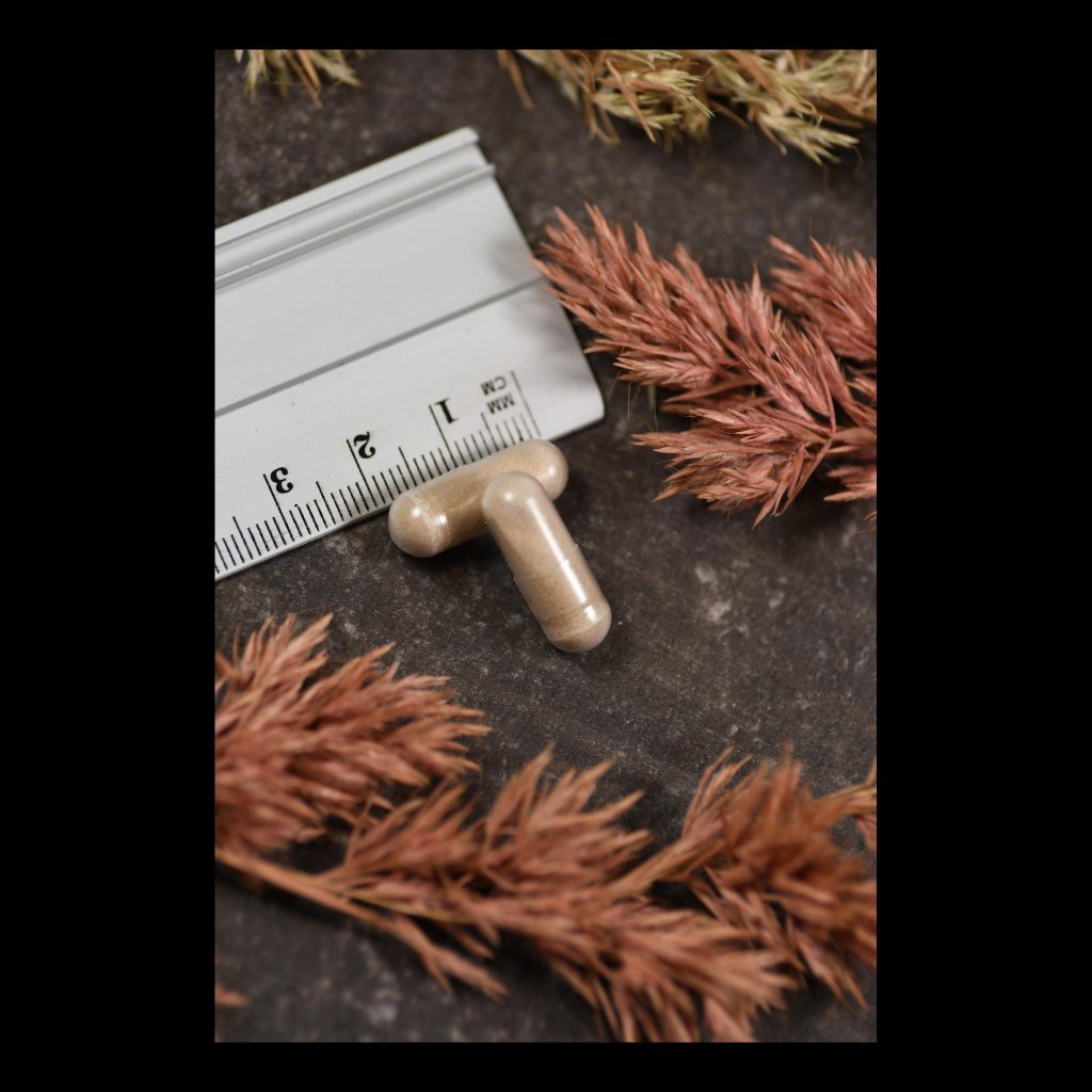 American Biologics L-Rhamnosus Plus