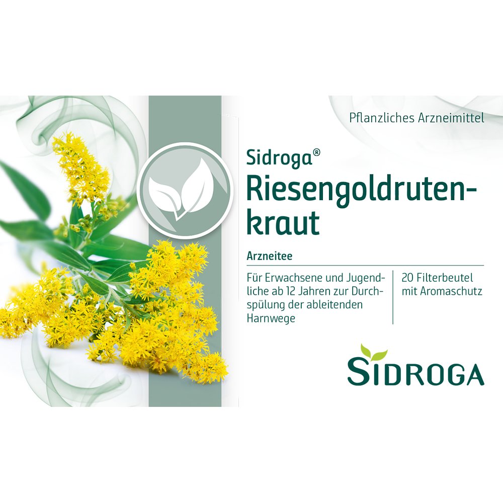SIDROGA Riesengoldrutenkraut Filterbeutel