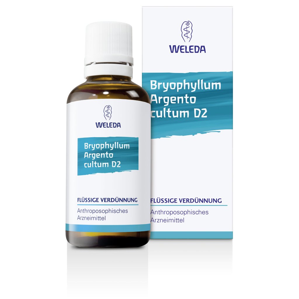 BRYOPHYLLUM ARGENTO cultum D 2 Dilution