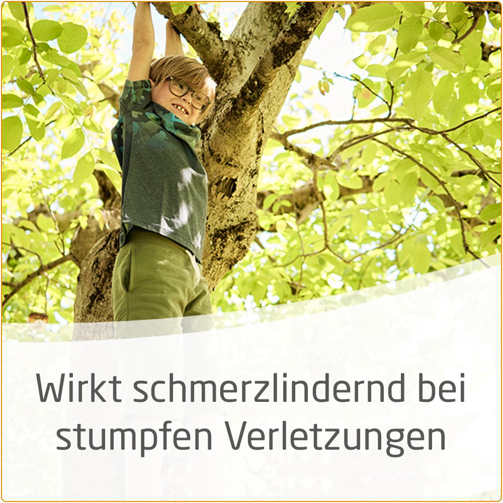 Arnika-Salbe 30%
