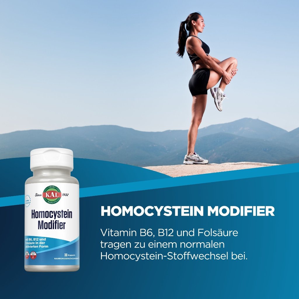 KAL Homocystein Modifier