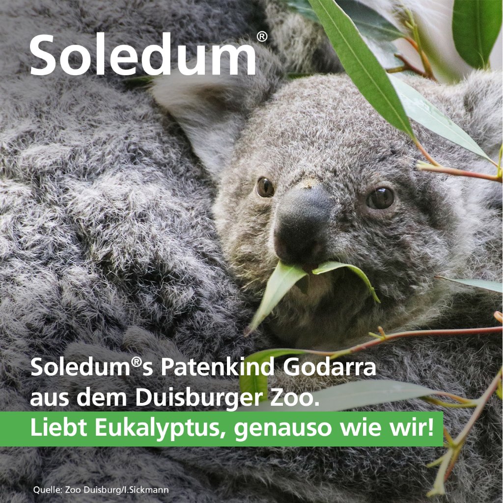 SOLEDUM addicur 200 mg magensaftres.Weichkapseln