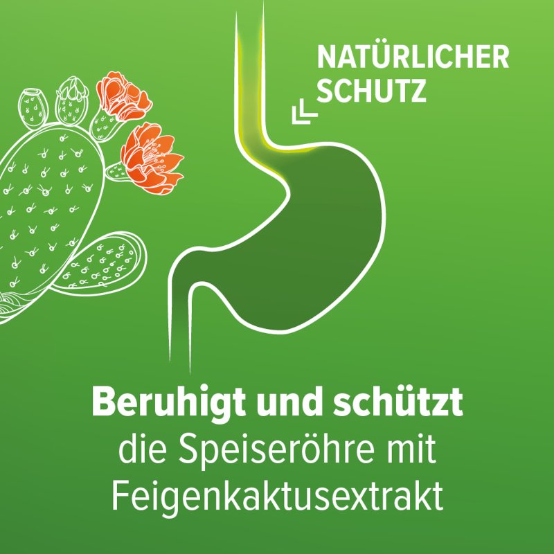 Refluthin® bei Sodbrennen Kautabletten Minze 48 Stück