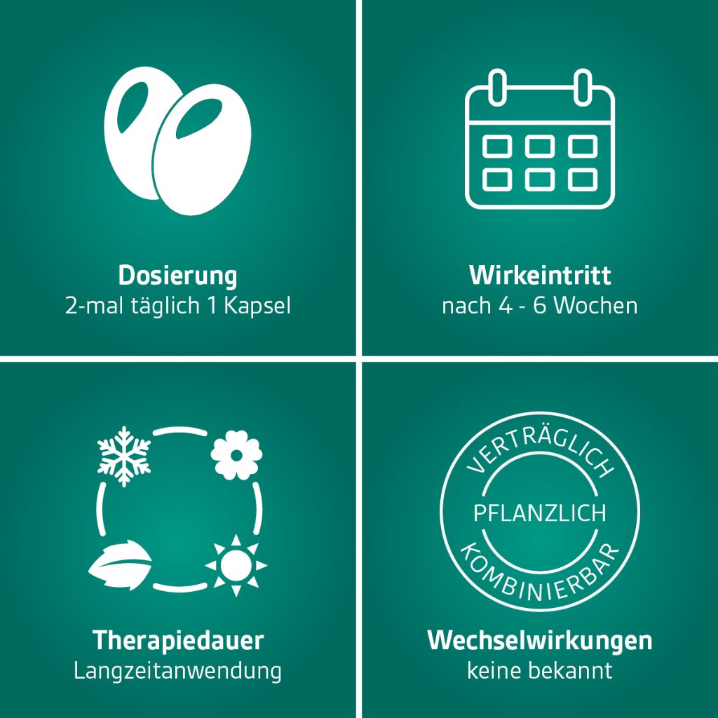 Prostagutt® duo 160 mg/120 mg Weichkapseln 60 Stück