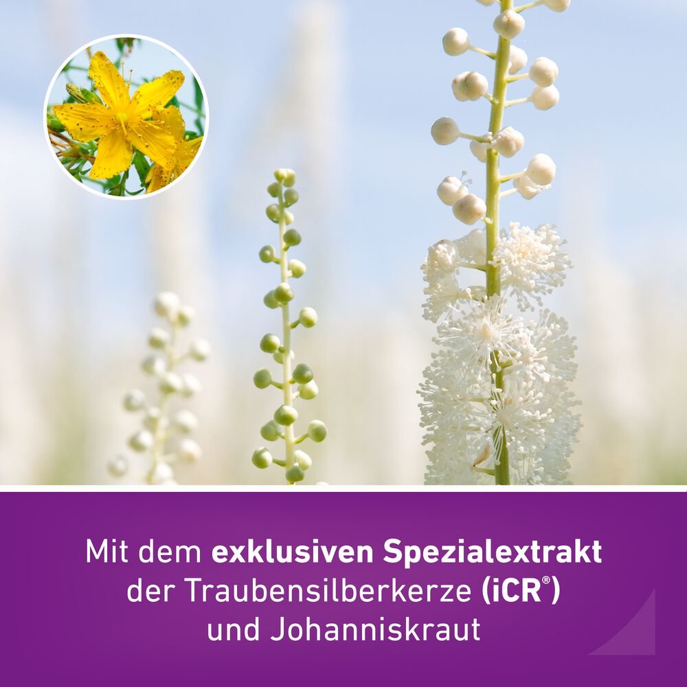 REMIFEMIN plus Johanniskraut Filmtabletten