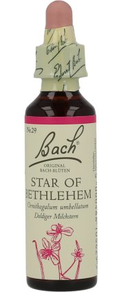 BACHBLÜTEN Star of Bethlehem Tropfen