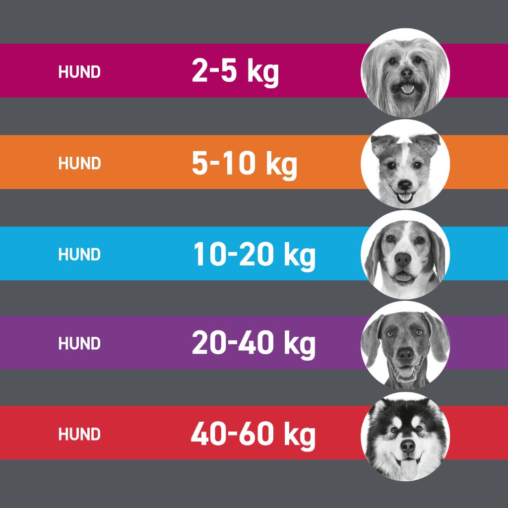 Frontline Tri-Act Parasitenschutz f. Hunde 2-5 kg 3 Pip.