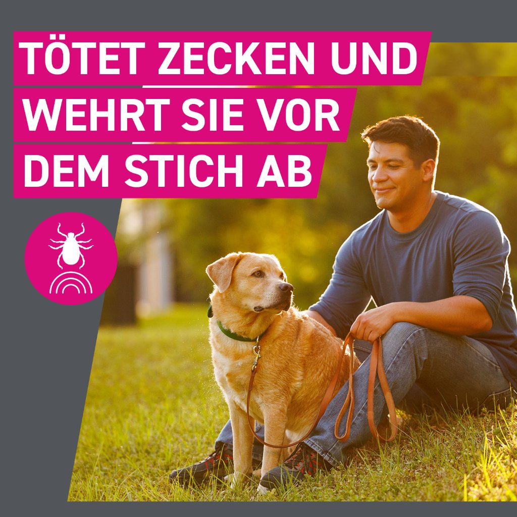 Frontline Tri-Act Parasitenschutz f. Hunde 5-10 kg 3 Pip.