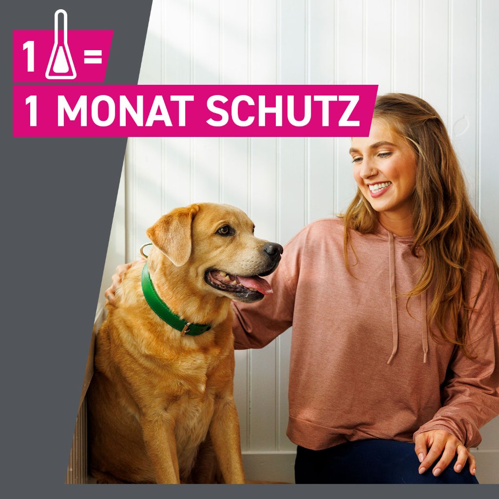 Frontline Tri-Act Parasitenschutz f. Hunde 20-40 kg 3 Pip.