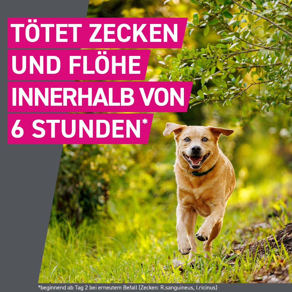 Frontline Tri-Act Parasitenschutz f. Hunde 20-40 kg 3 Pip.
