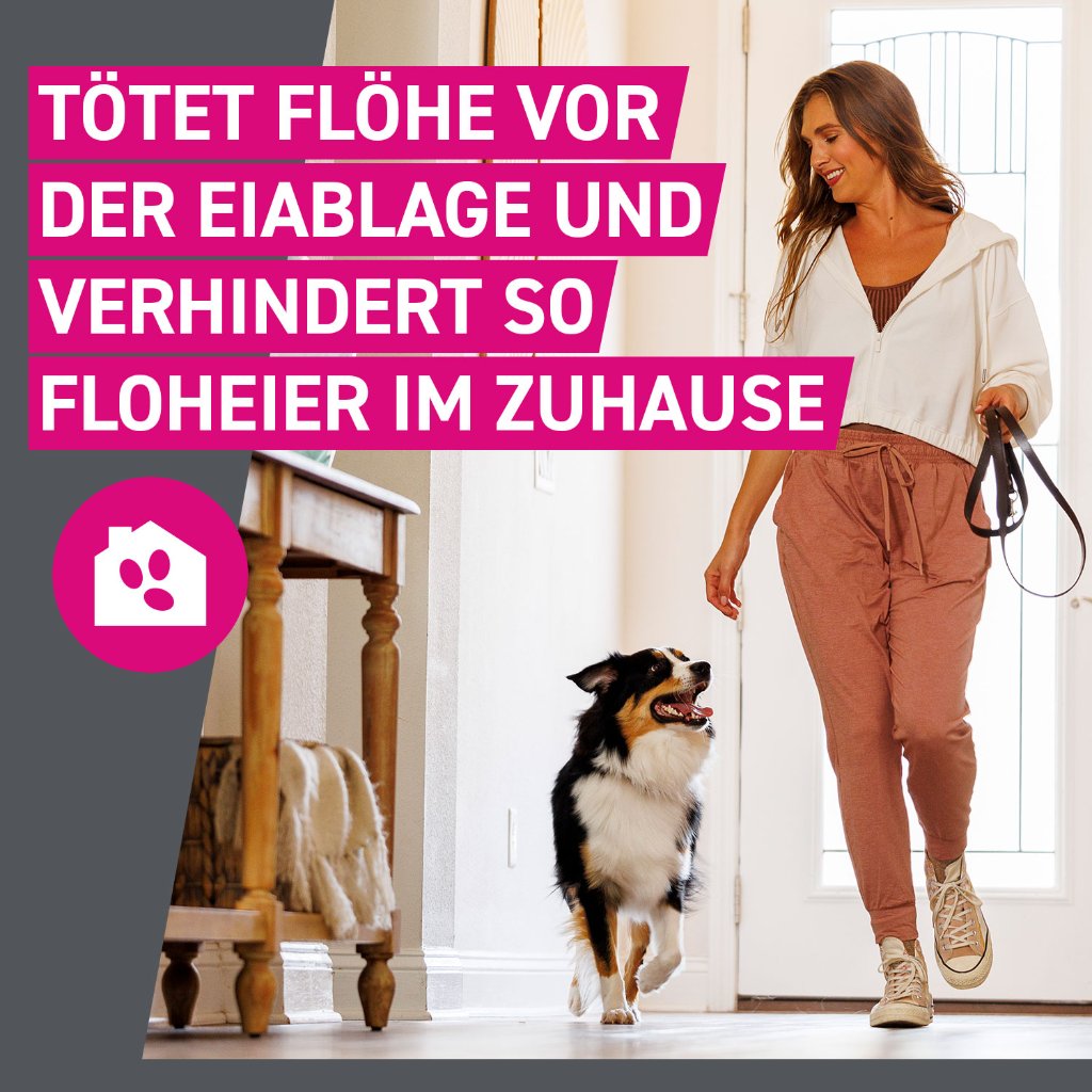 Frontline Tri-Act Parasitenschutz f. Hunde 20-40 kg 6 Pip.