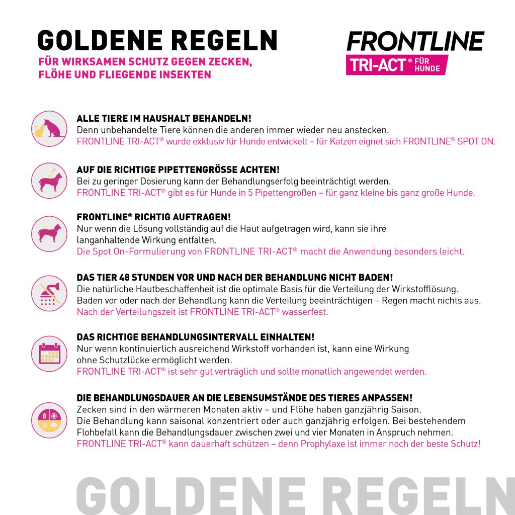 Frontline Tri-Act Parasitenschutz f. Hunde 20-40 kg 6 Pip.