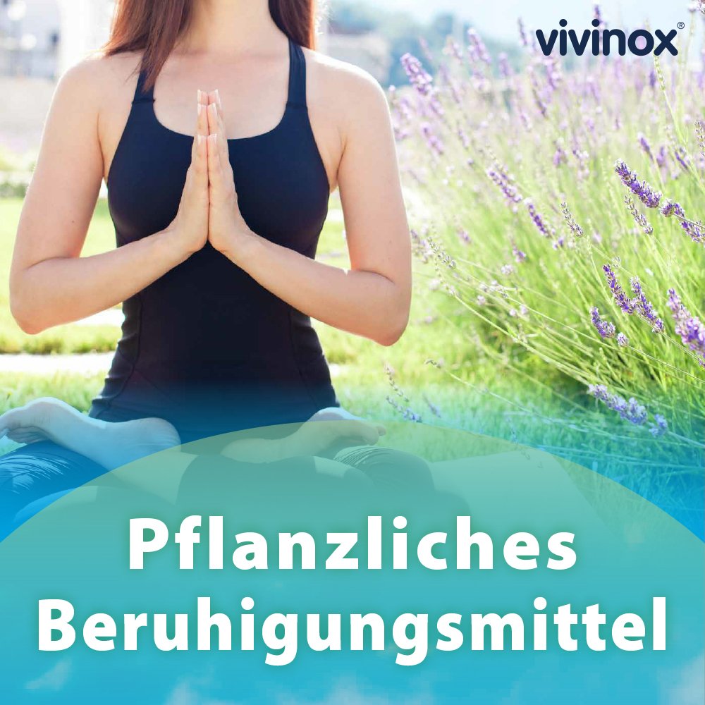 VIVINOX Nervenruhe Baldr.+Mel.+Passion.Beruh.Drag.