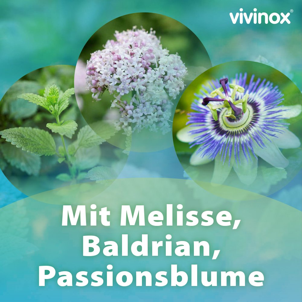 VIVINOX Nervenruhe Baldr.+Mel.+Passion.Beruh.Drag.