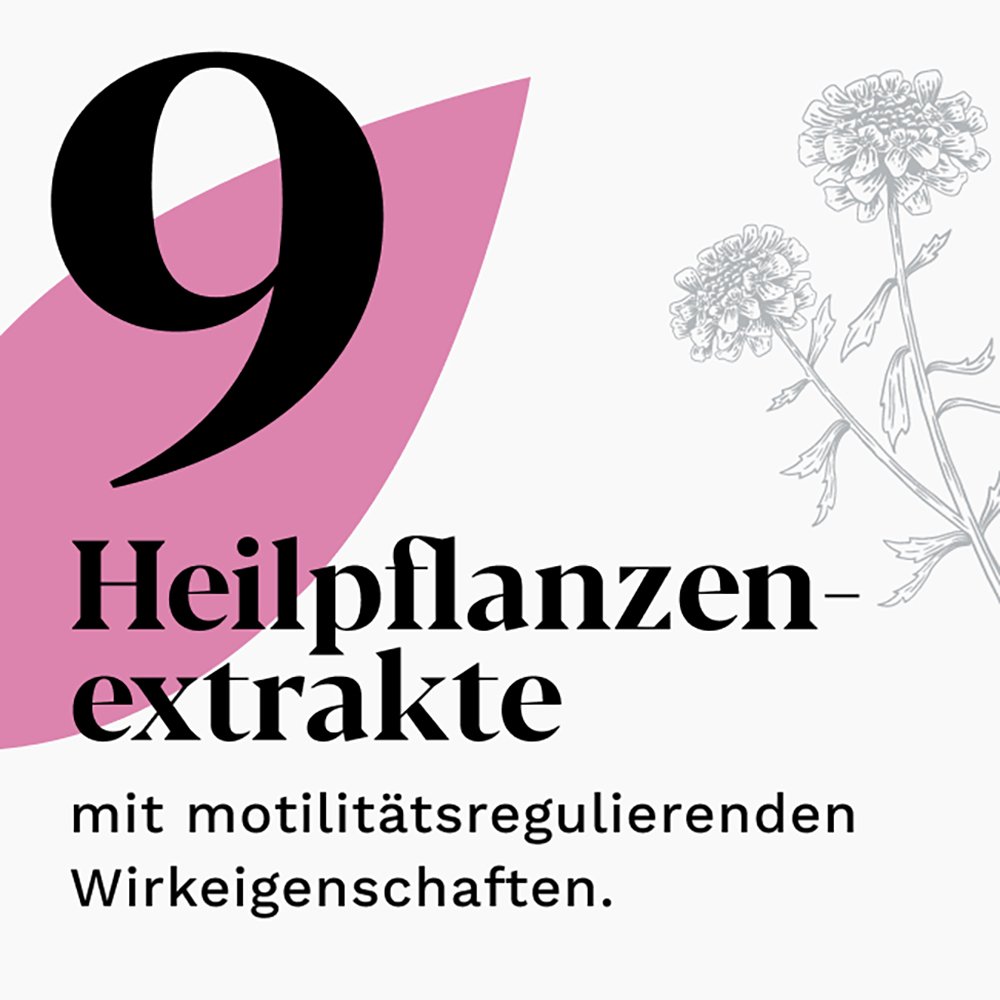IBEROGAST Classic Flüssigkeit zum Einnehmen