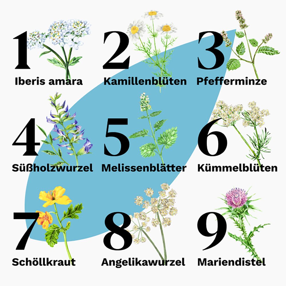 IBEROGAST Classic Flüssigkeit zum Einnehmen