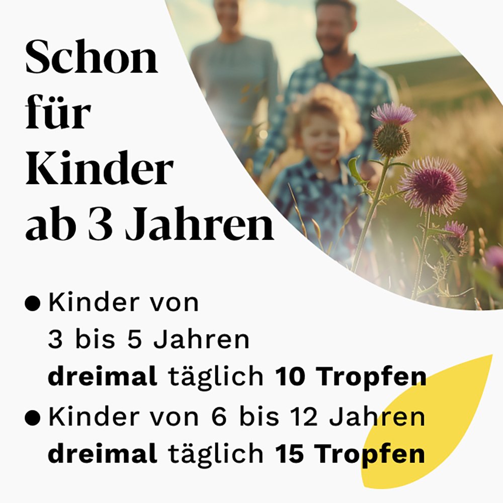 IBEROGAST Classic Flüssigkeit zum Einnehmen