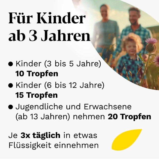 IBEROGAST Classic Flüssigkeit zum Einnehmen