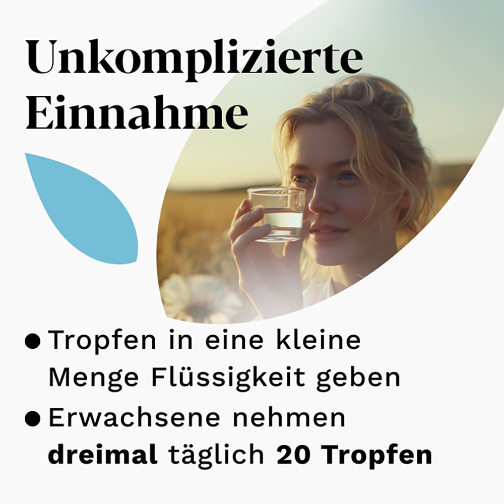 IBEROGAST Classic Flüssigkeit zum Einnehmen