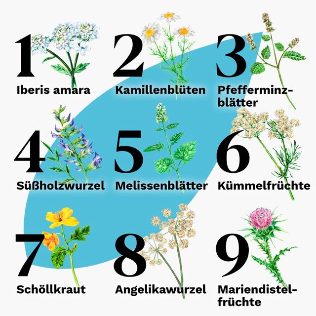 IBEROGAST Classic Flüssigkeit zum Einnehmen