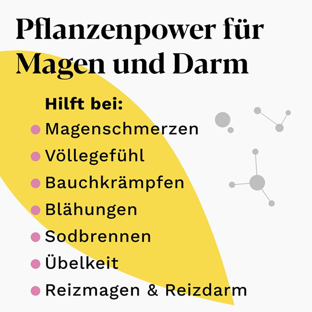IBEROGAST ADVANCE Flüssigkeit zum Einnehmen