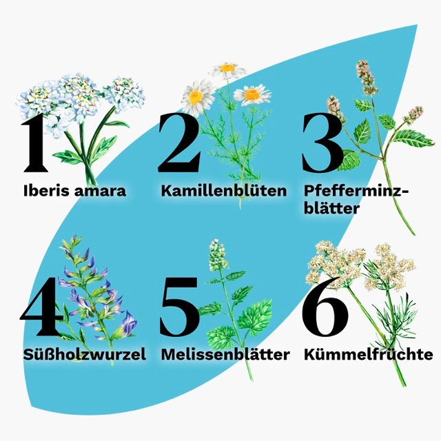 IBEROGAST ADVANCE Flüssigkeit zum Einnehmen