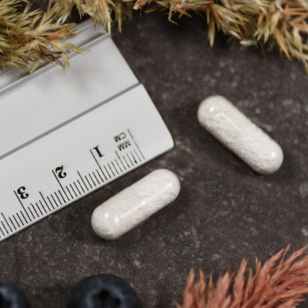 American Biologics L-Lysin 500mg