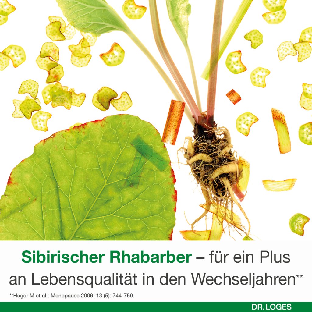 FEMILOGES magensaftresistente Tabletten