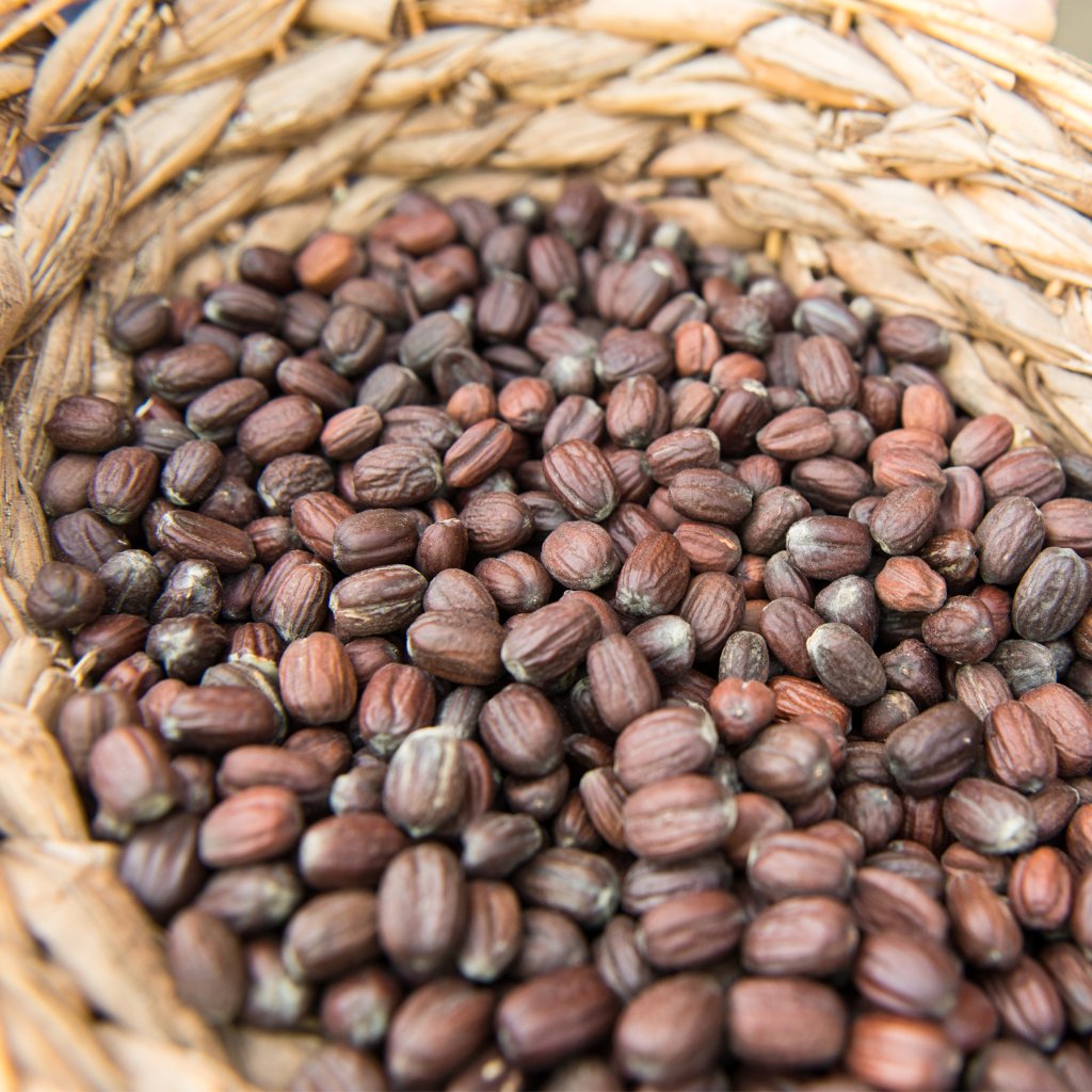 WELEDA Sensitiv-Pflege Körperlotion