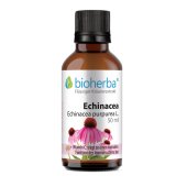 ECHINACEA