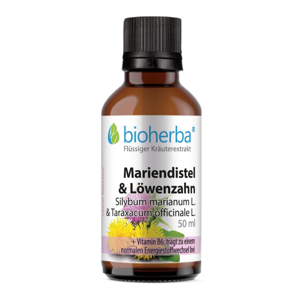 MARIENDISTEL & LOEWENZAHN