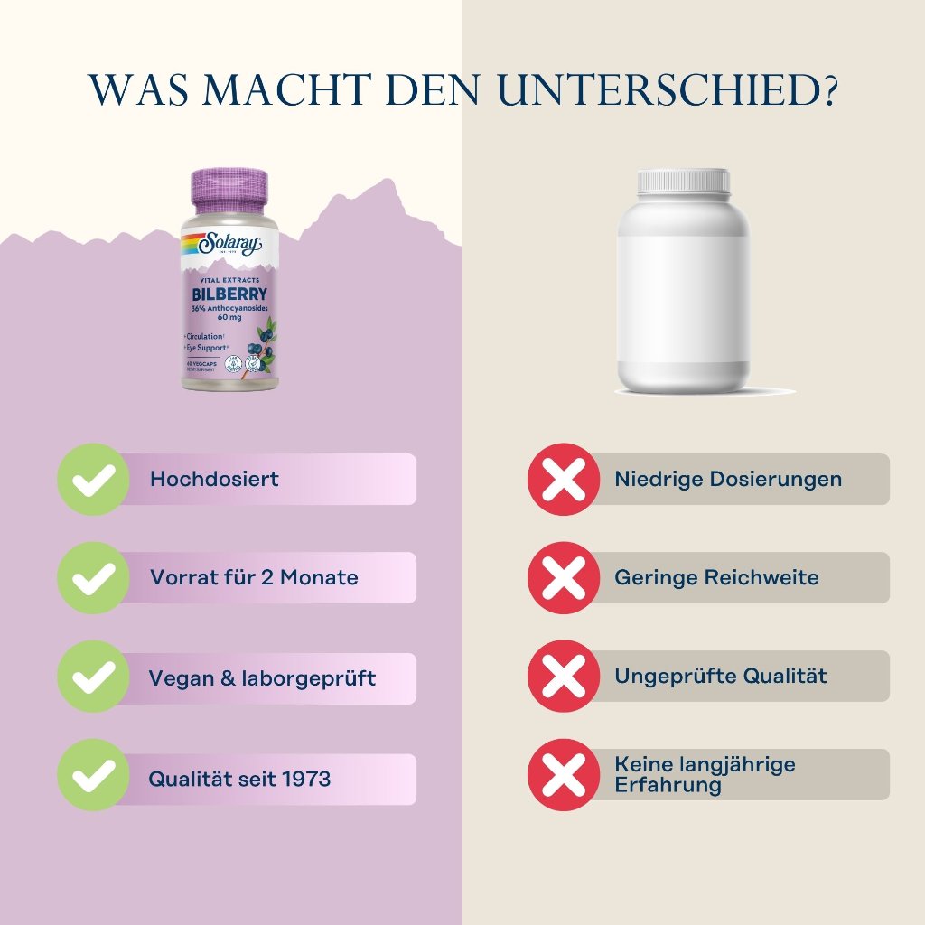 Solaray Blaubeere (Heidelbeere) Extrakt