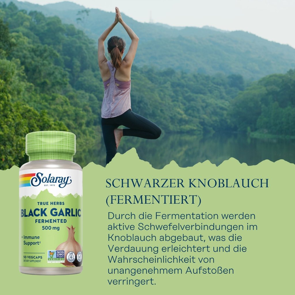 Solaray Schwarzer Knoblauch fermentiert 500 mg