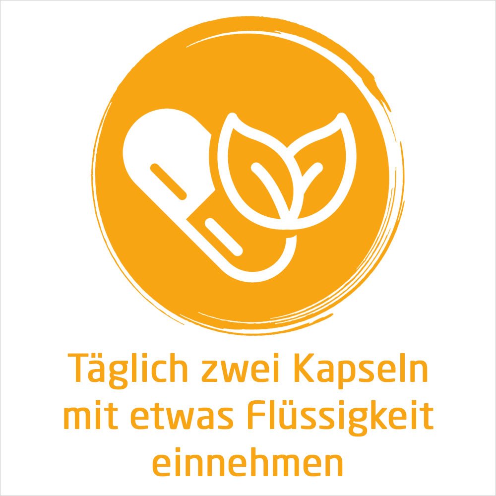 WELEDA Naturweisheit Meine Immunformel Kapseln