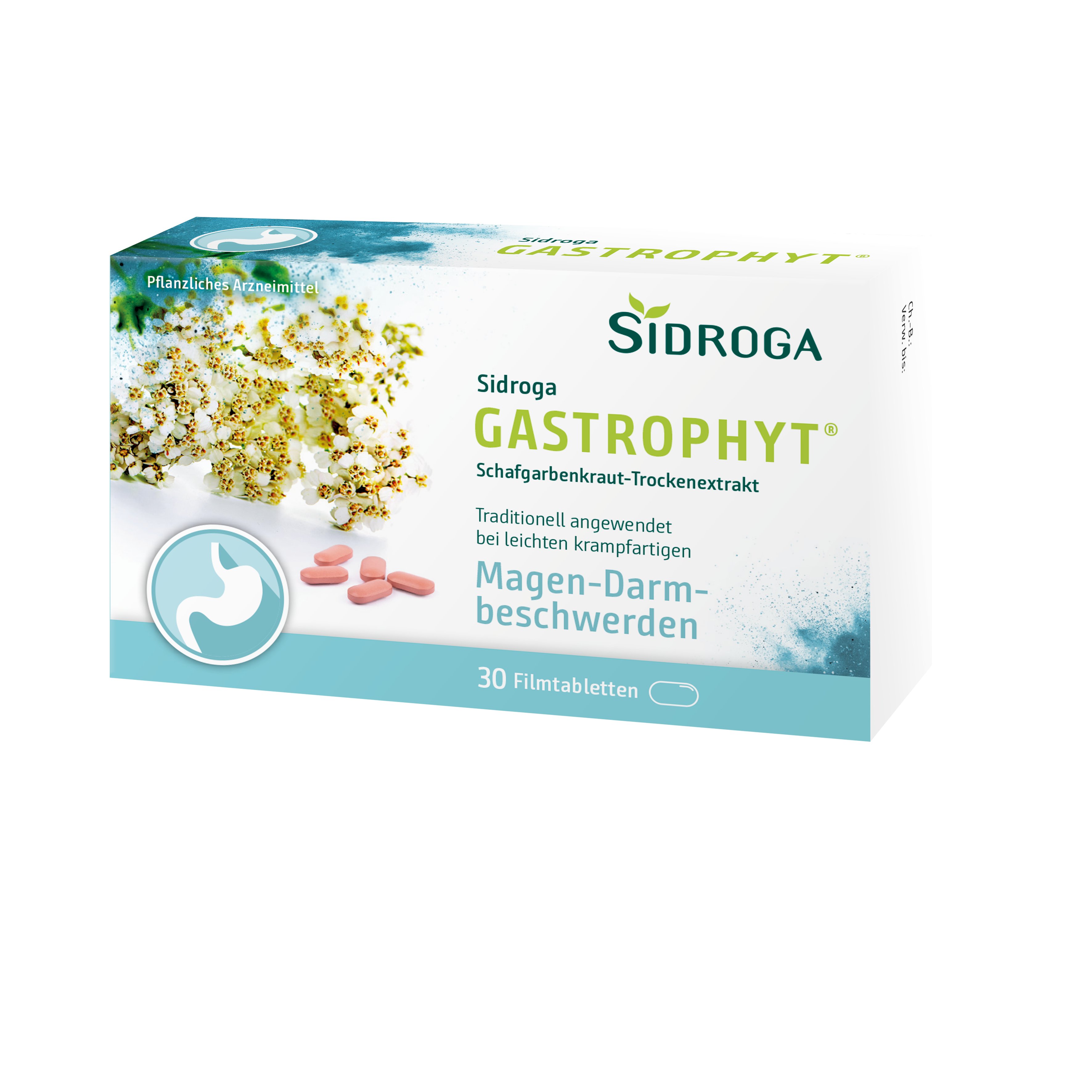 SIDROGA GastroPhyt 250 mg Filmtabletten