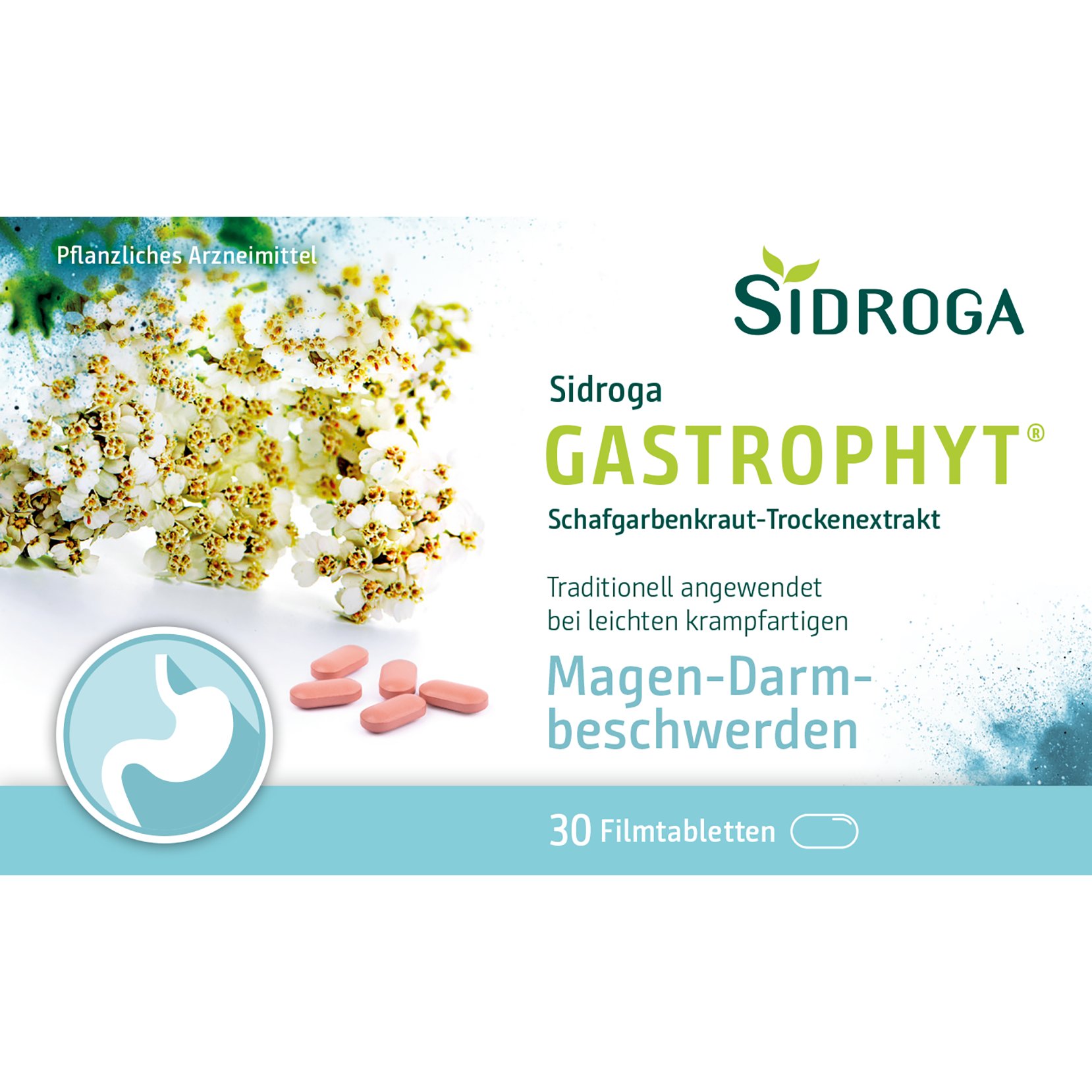 SIDROGA GastroPhyt 250 mg Filmtabletten