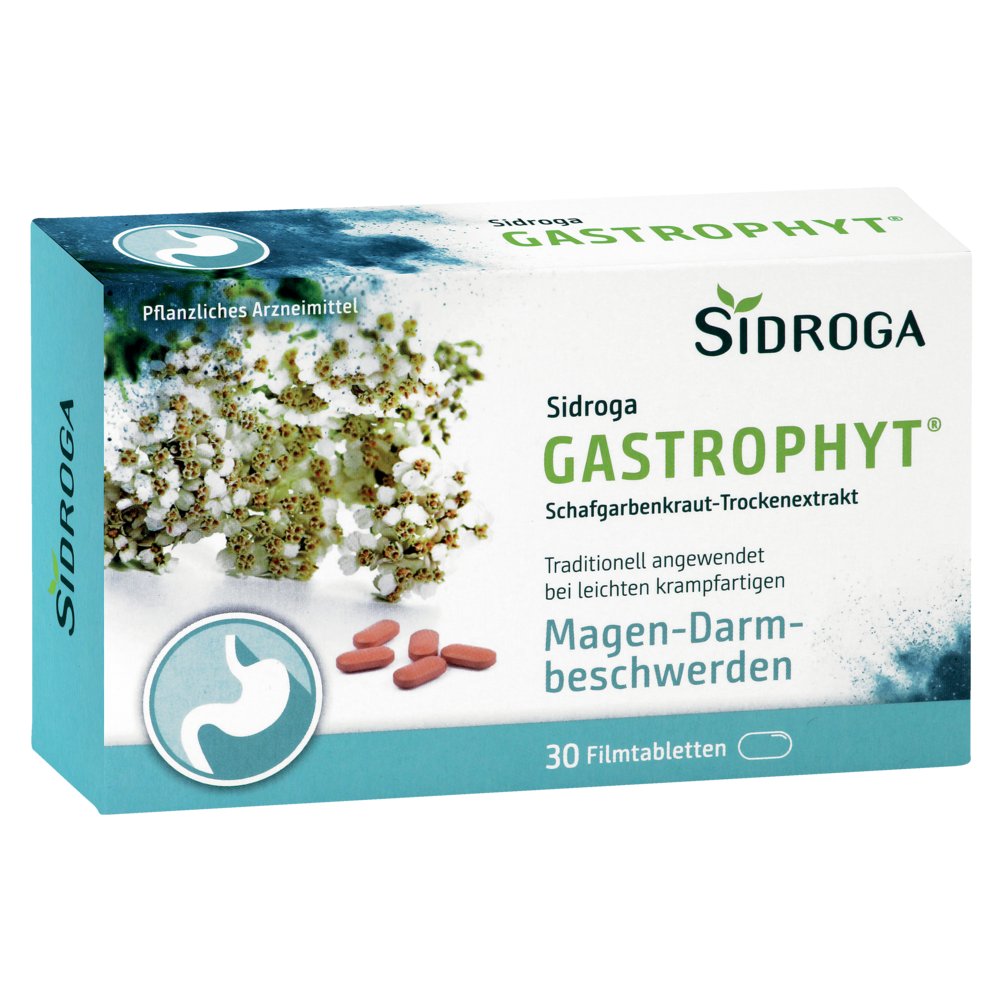 SIDROGA GastroPhyt 250 mg Filmtabletten