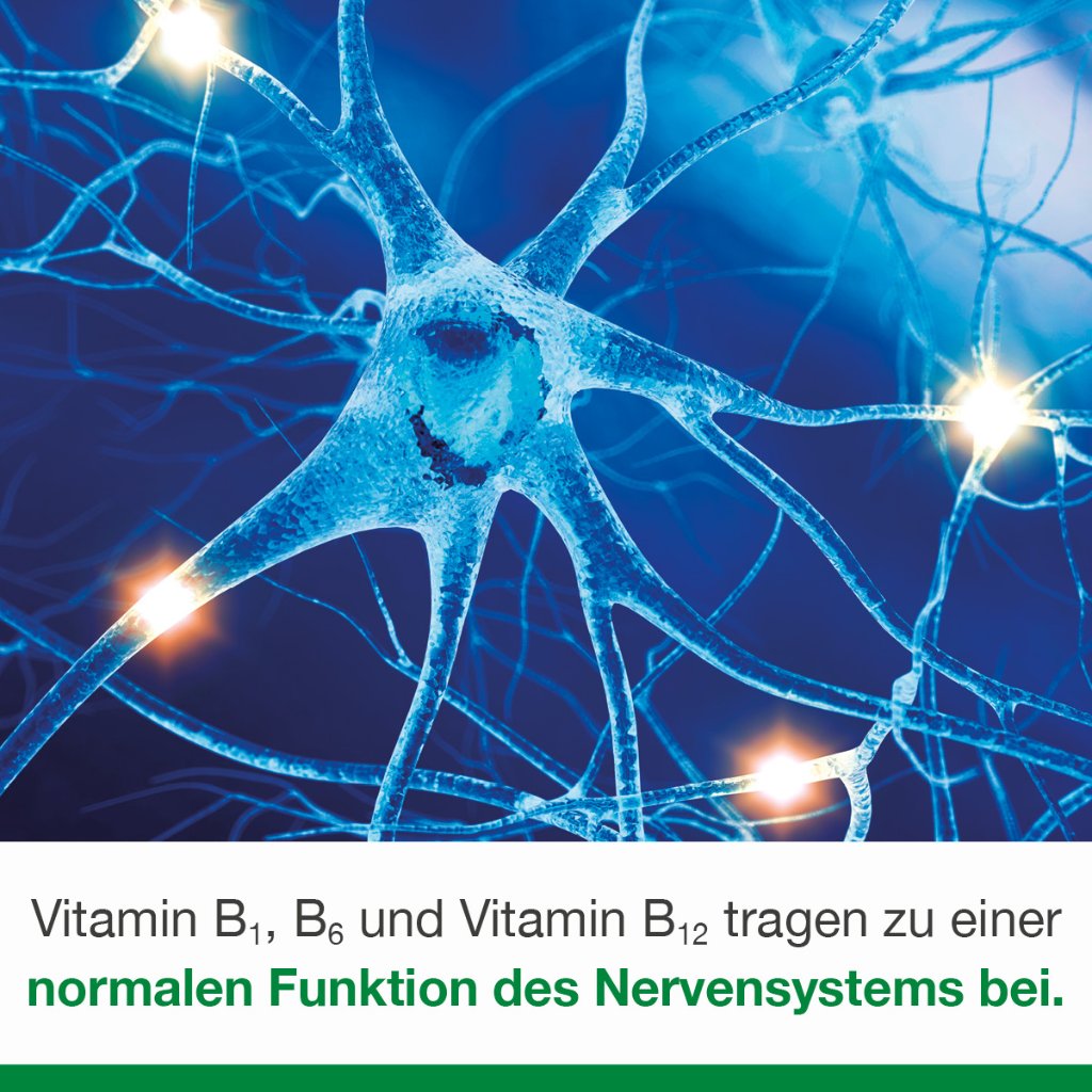 NEUROLOGES concept Kapseln