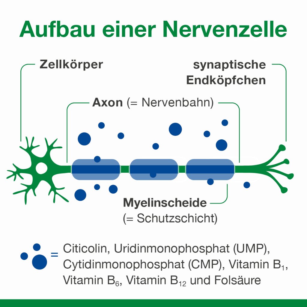 NEUROLOGES concept Kapseln