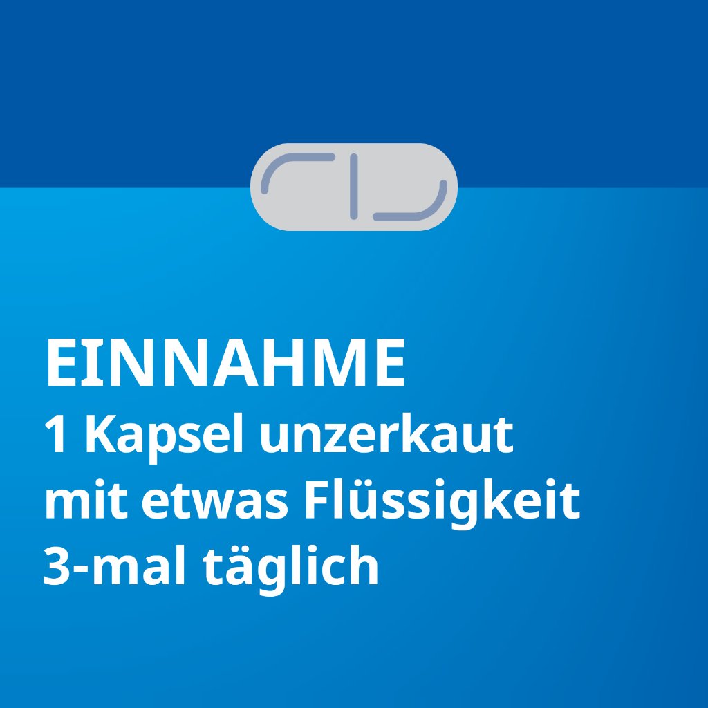 SILYMARIN STADA 109 mg Hartkapseln