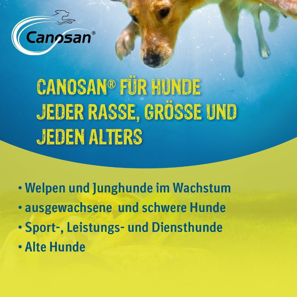 Canosan Kautabletten für die Gelenkgesundheit bei Hunden