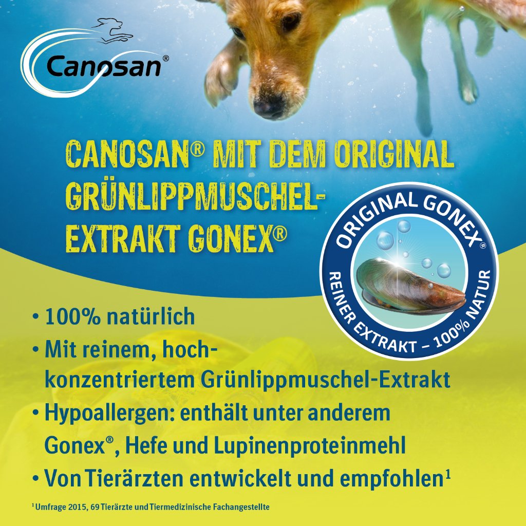 Canosan Kautabletten für die Gelenkgesundheit bei Hunden